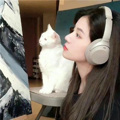 贵妃还乡